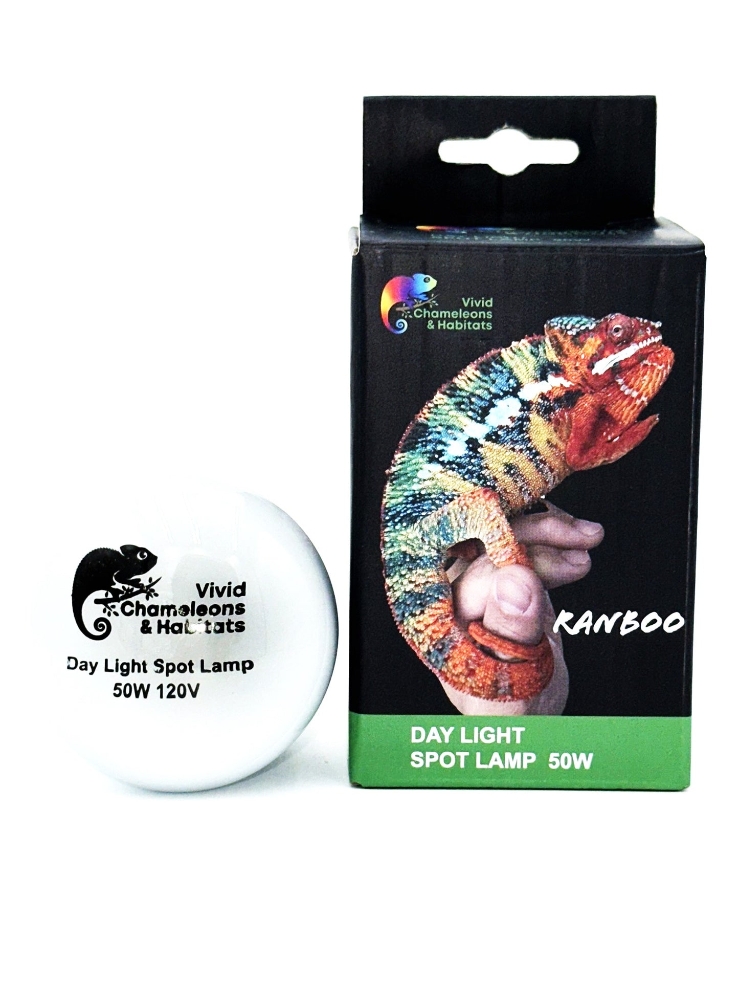 Size 12: 12"x12"x18" All-In-One Essential Baby Chameleon Kit