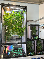 Size 24: 24"x24"x48" Deluxe All-In-One WIFI Controlled Automated Chameleon kit