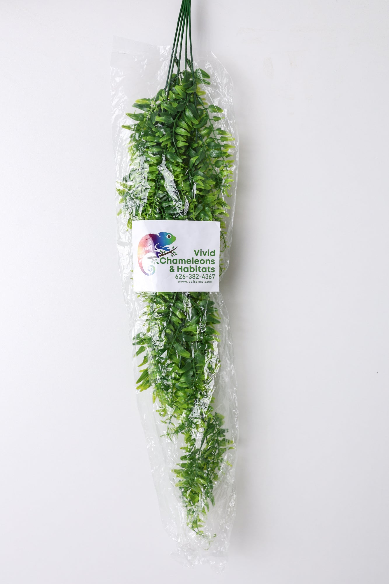 Size 12: 12"x12"x18" All-In-One Essential Baby Chameleon Kit