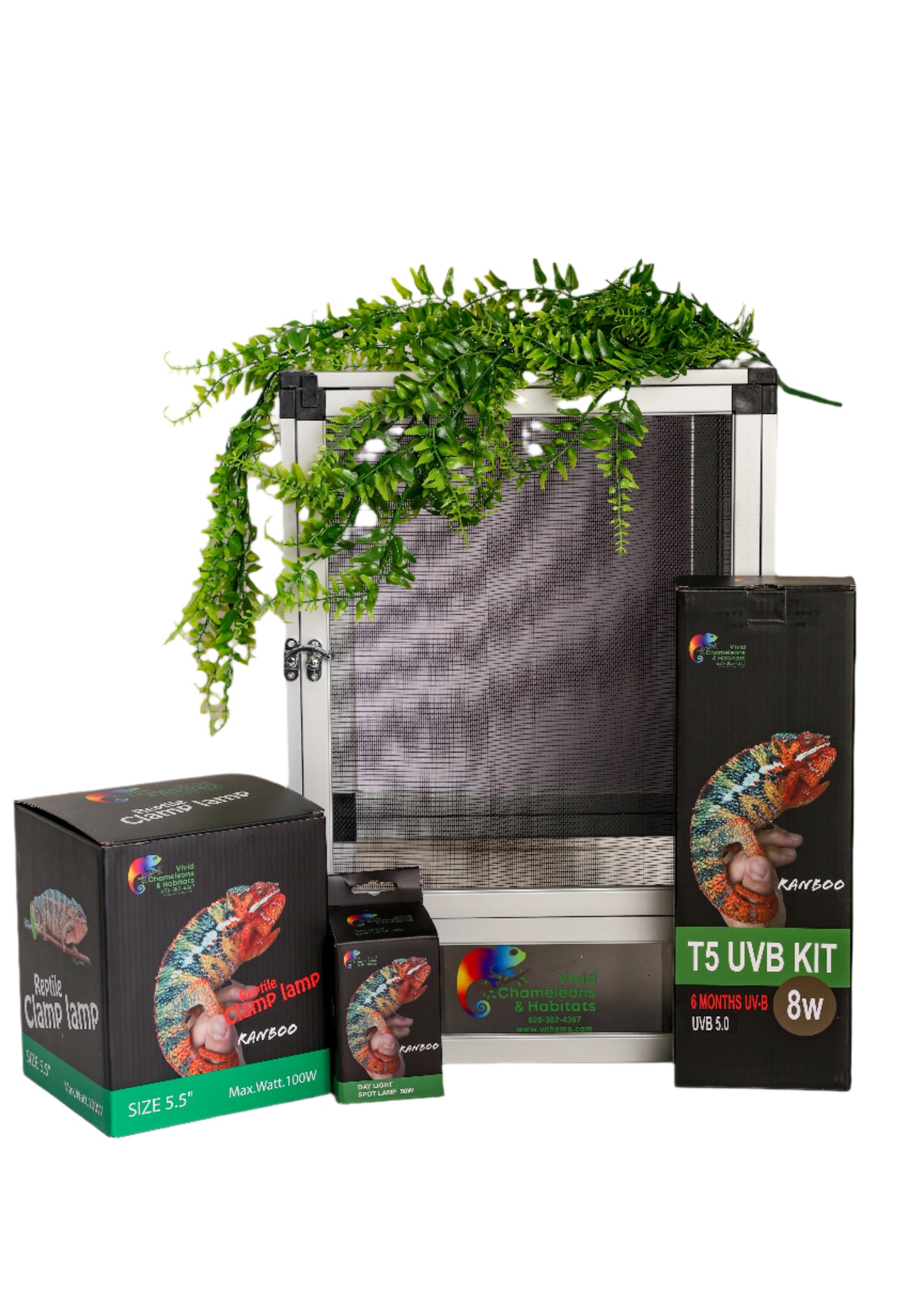 Size 12: 12"x12"x18" All-In-One Essential Baby Chameleon Kit