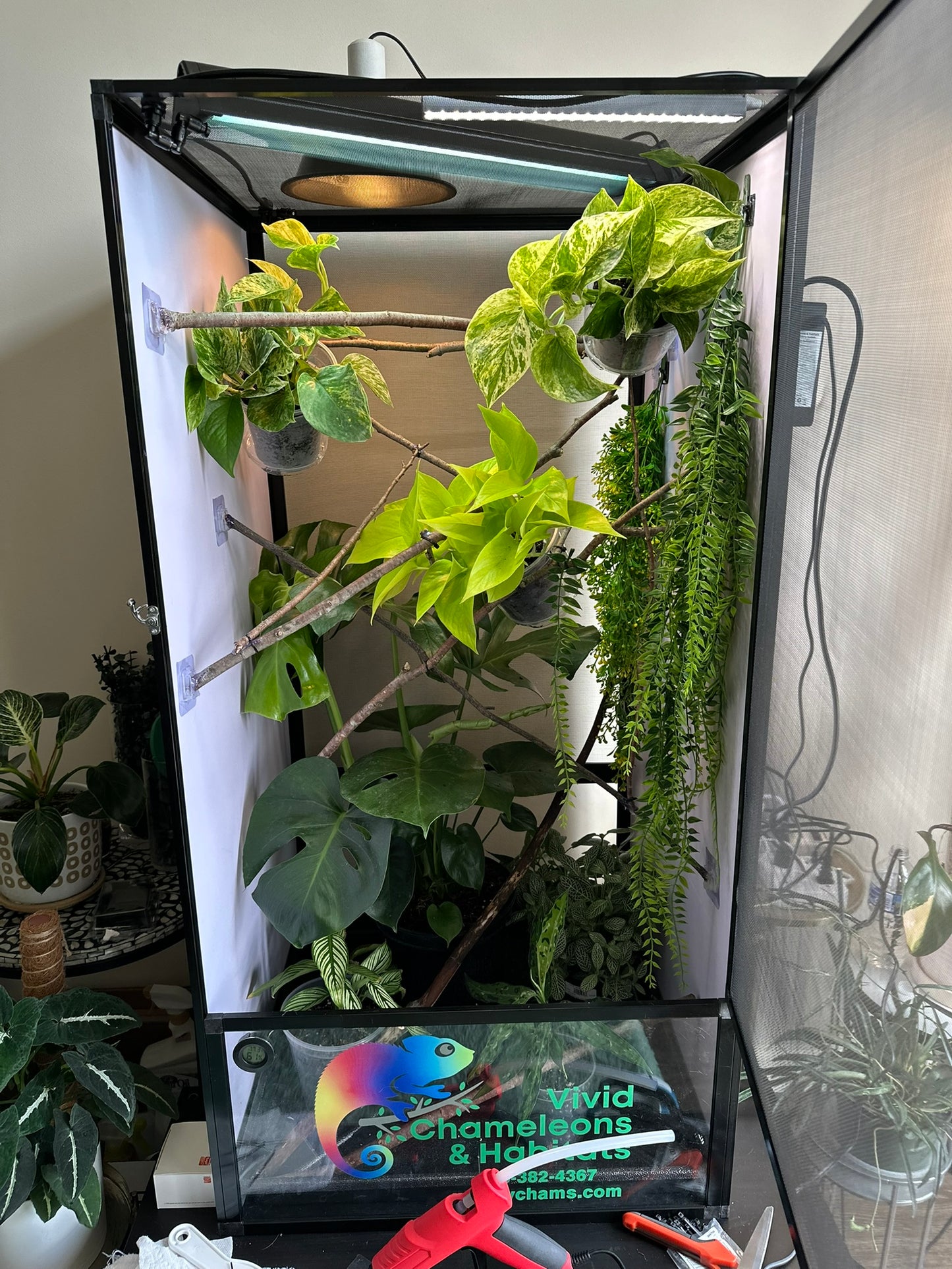 Size 24: 24"x24"x48" Deluxe All-In-One WIFI Controlled Automated Chameleon kit