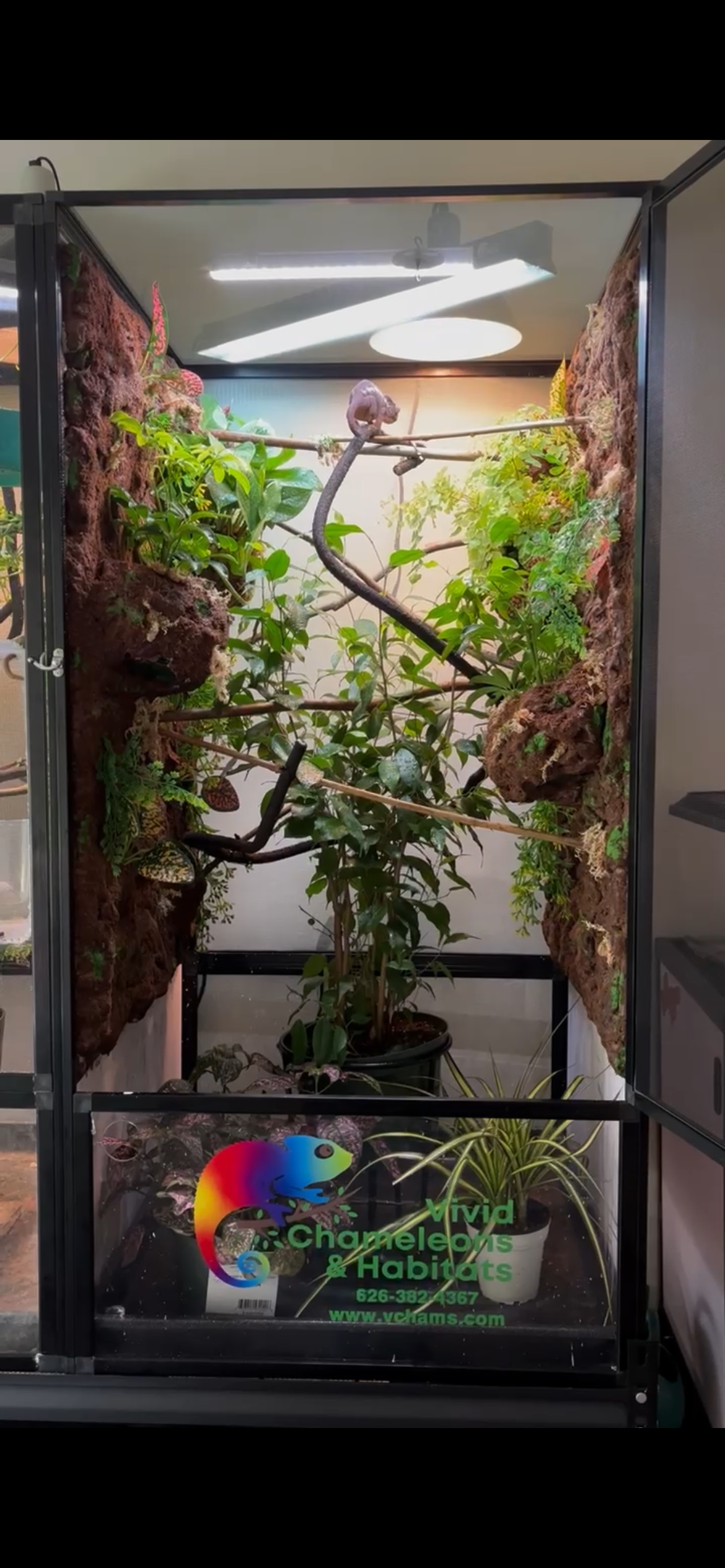 Size 24: 24"x24"x48" Deluxe All-In-One WIFI Controlled Automated Chameleon kit