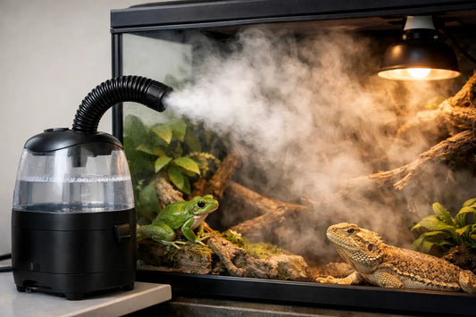 Automatic Fogger for Reptile Enclosure Guide