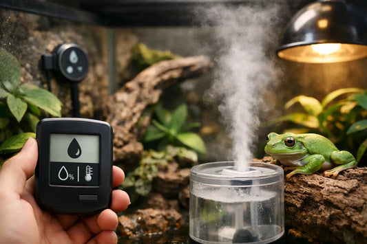 Reptile Humidity Control Guide for Healthy Setups