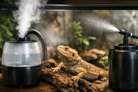Reptile Fogger vs Mister: Which Do You Need?