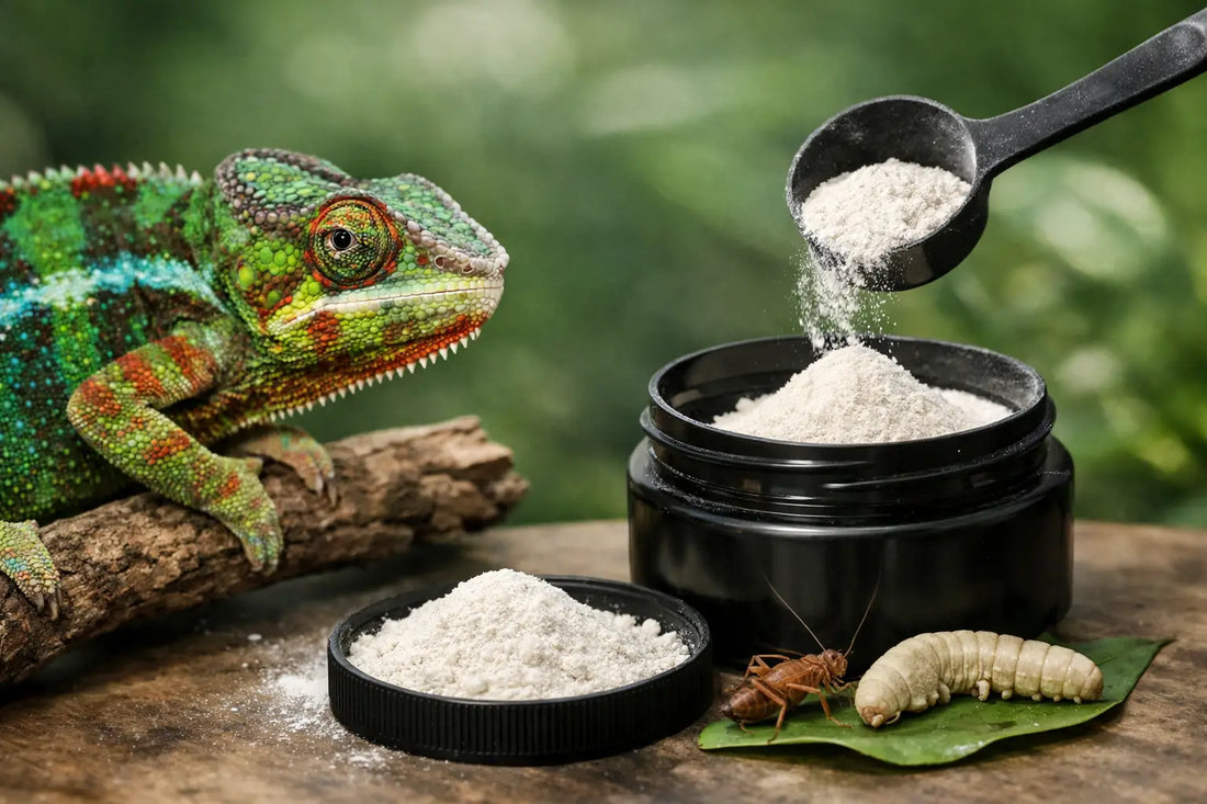 Repashy Calcium for Chameleons: How to Use It