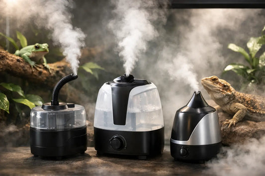 Best Foggers for Reptile Humidity, Compared