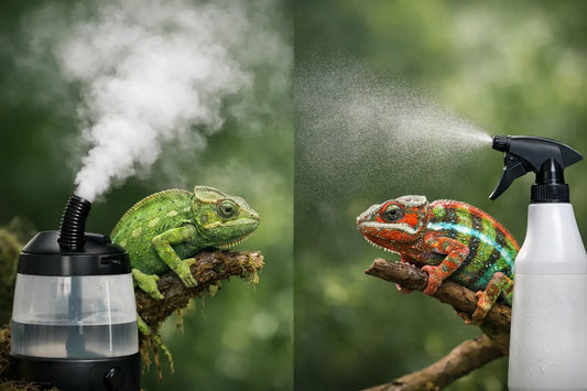 Reptile Fogger Versus Mister for Chameleons