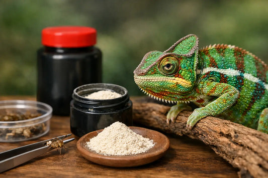 Repashy Calcium Plus Review for Chameleon Keepers