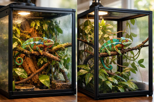 Hybrid vs Screen Chameleon Enclosure