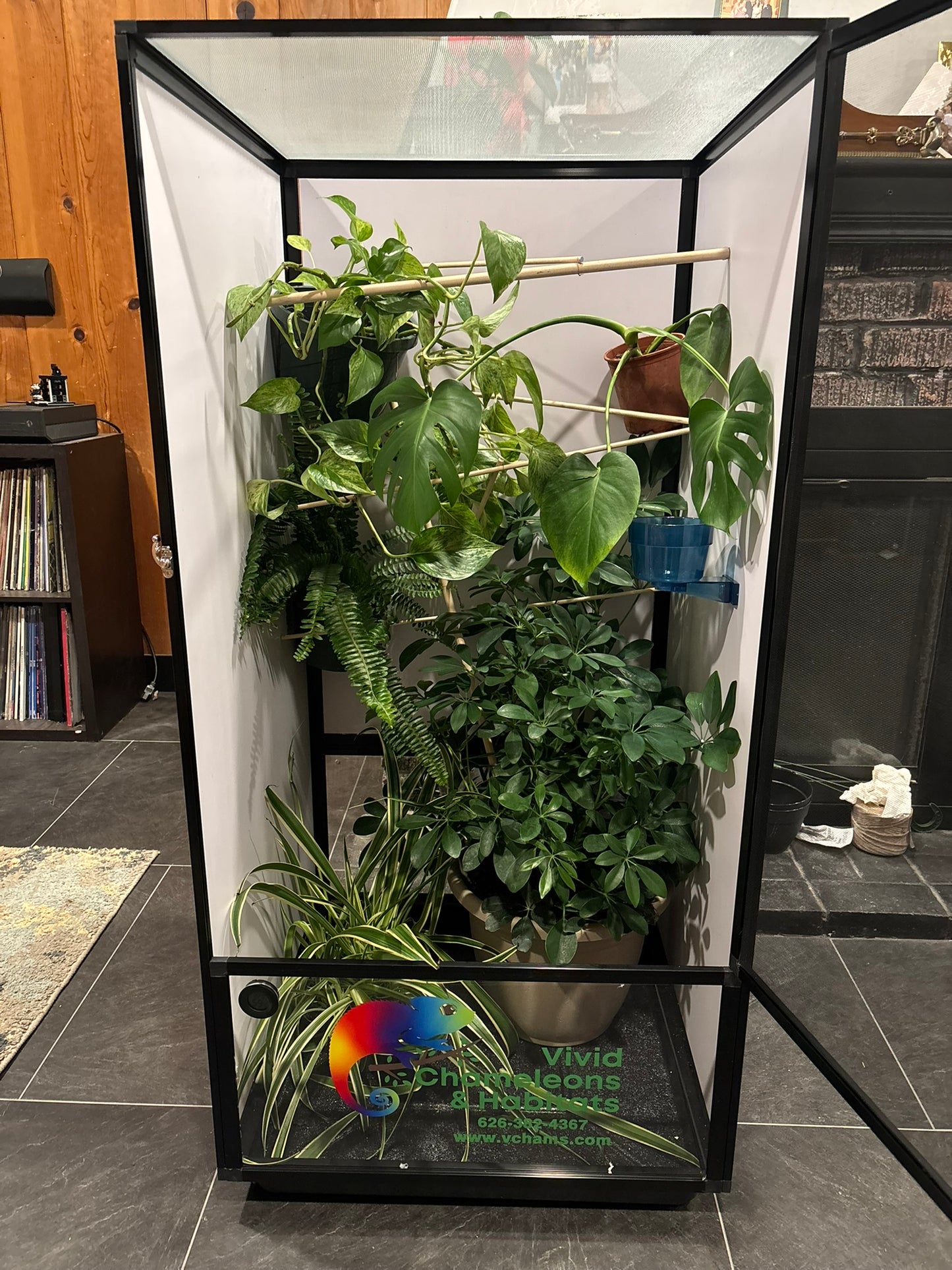 Size 18: 18"x18"x32" Deluxe All-In-One Automated Chameleon Kit