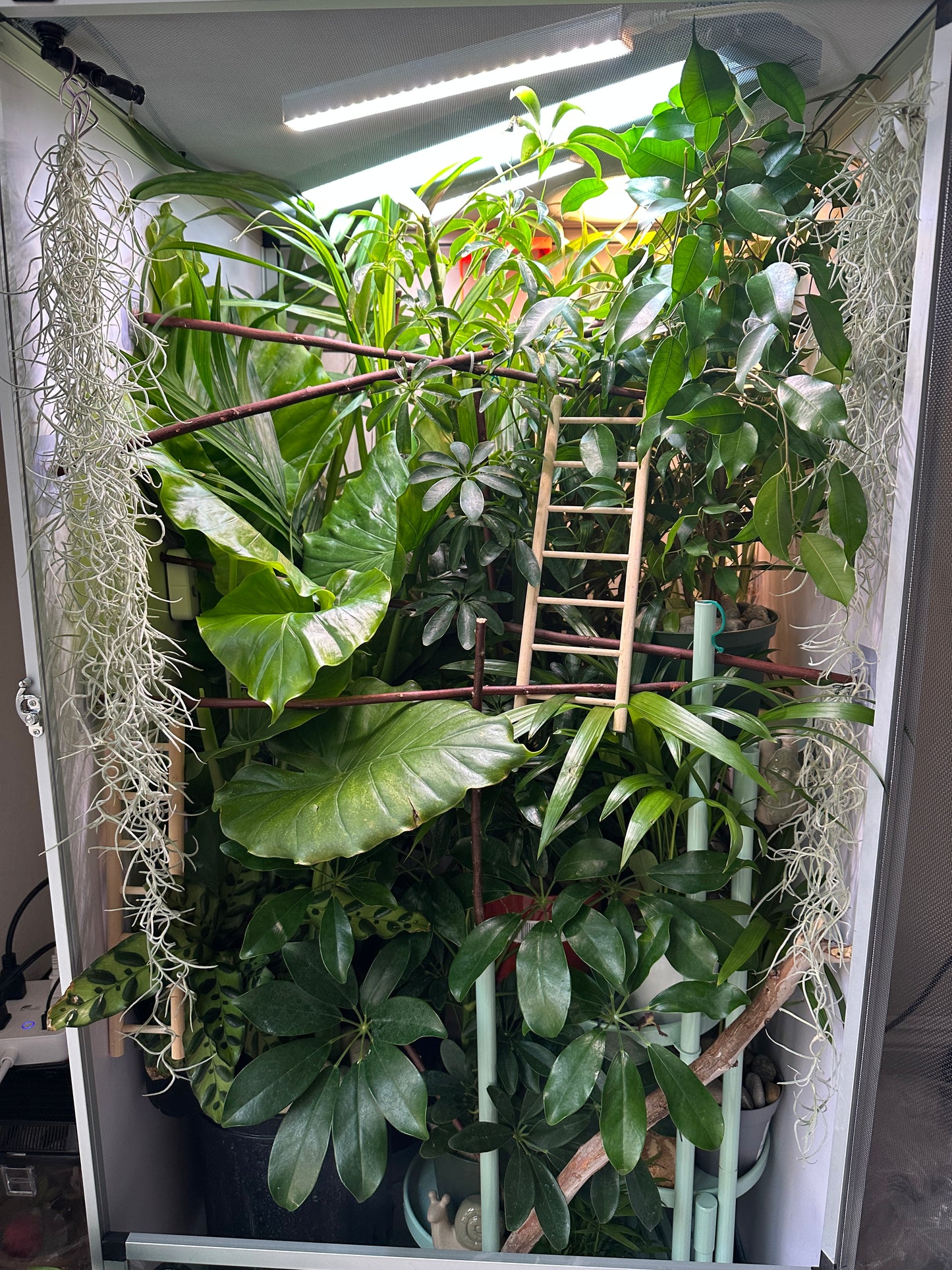 Size 18: 18"x18"x32" Deluxe All-In-One Automated Chameleon Kit