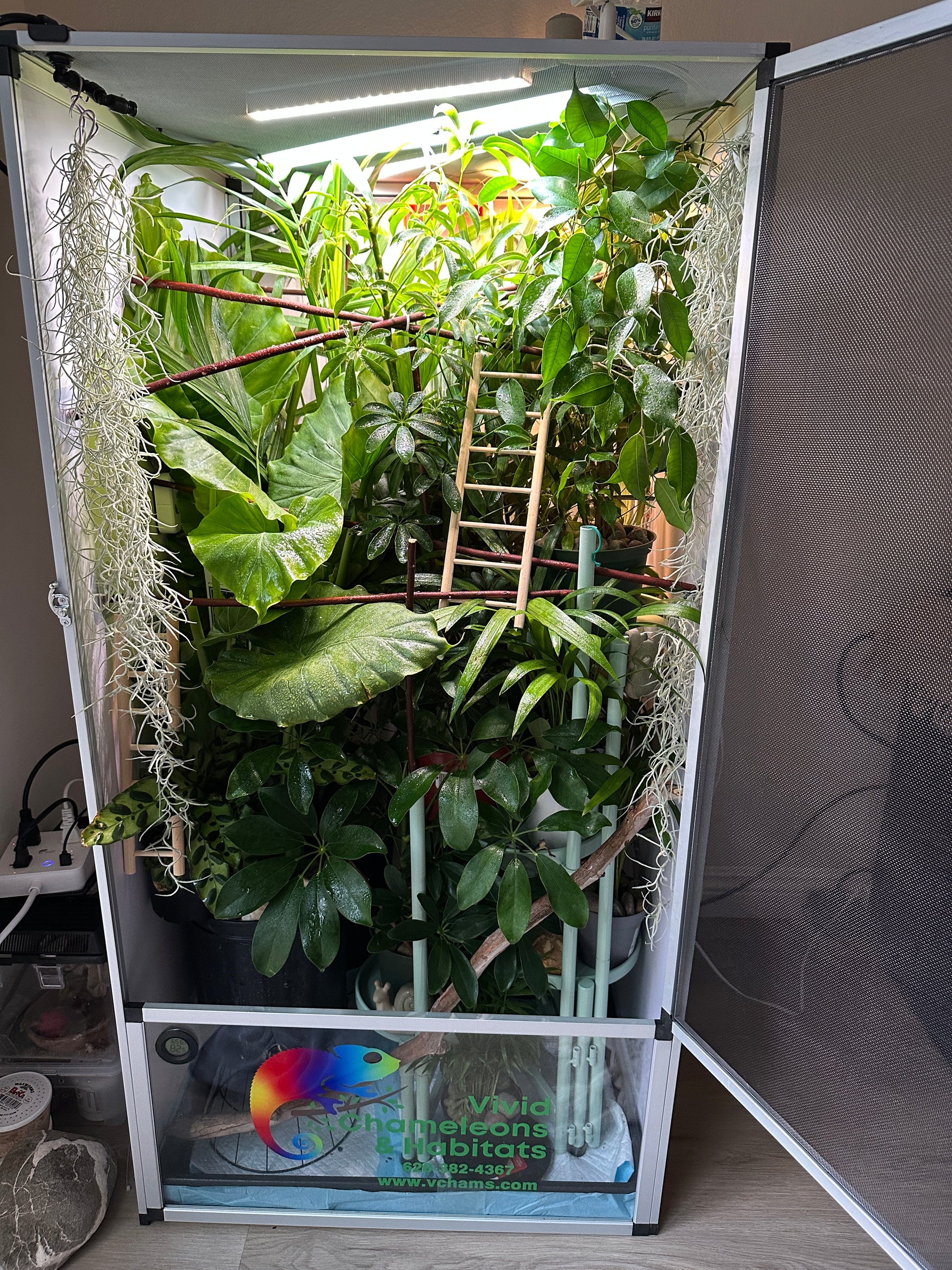 chameleon terrarium plants Size 18: 18"x18"x36" Essential Chameleon Kit – Vivid Chameleons & Reptile Supplies