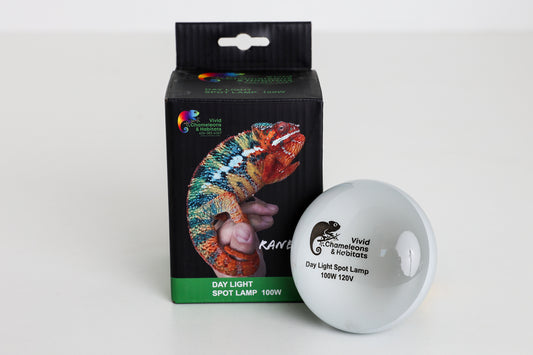 Daylight Heating Bulb - 100W