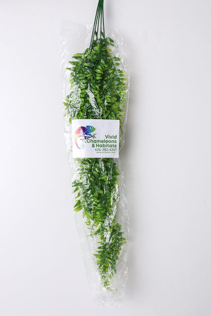 Size 12: 12"x12"x18" All-In-One Essential Baby Chameleon Kit