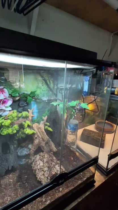 Misting System with Built-in Timer